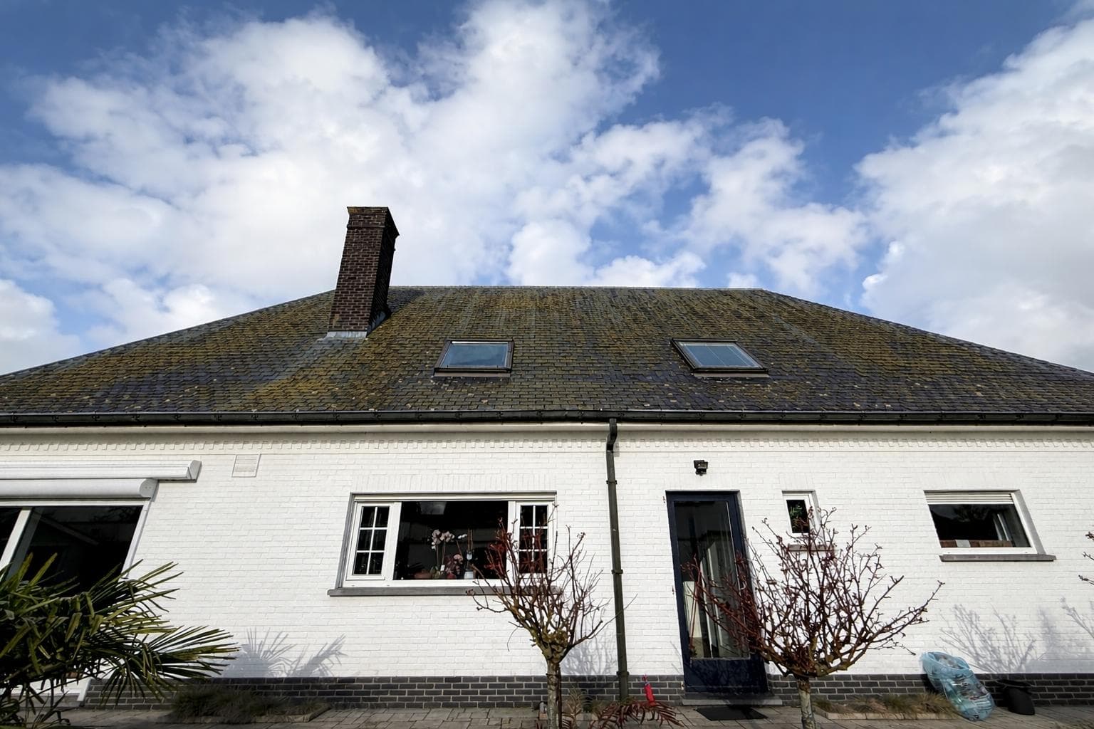 Pannendak van een woning met mos, voor de reiniging